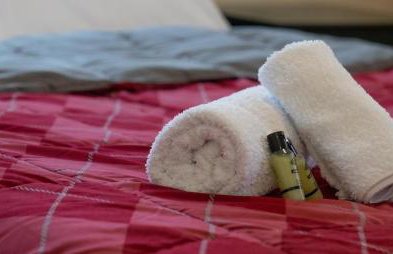 Nikola's Garden - Foto 16