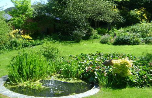 The Forest Country House B&B - Foto 31