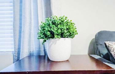 Family Home San Antonio Hangar - Foto 25