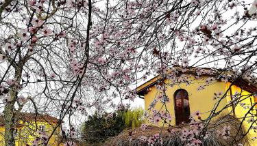 Podere Piandarca - Photo 2