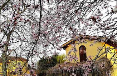 Podere Piandarca - Photo 2