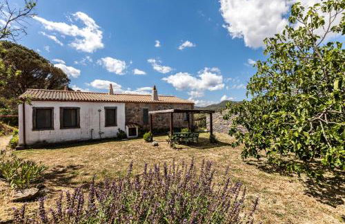 Stazzo La Casedda - Foto 15