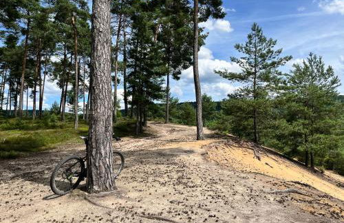 Ferienhaus Ickelhaus 1 - Foto 40