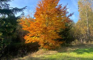 Apartament w górach Gorce - Foto 43