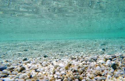 Golden view luxury apartment - Photo 36