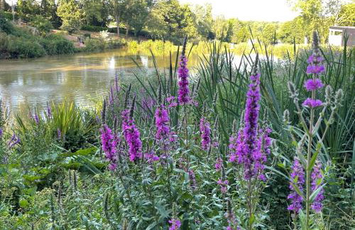 Oak Lodge, South View Lodges, Exeter - Foto 24