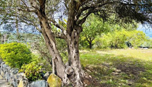Casa Rural Ca'Chispita - Foto 2
