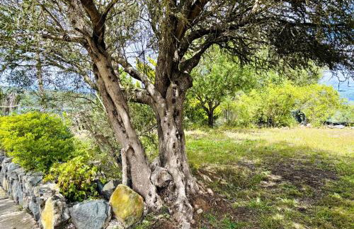 Casa Rural Ca'Chispita - Foto 2