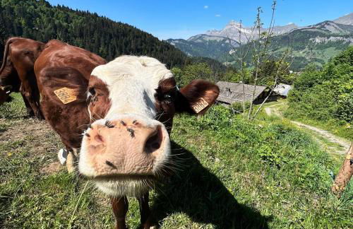 Chez Francine - Photo 22