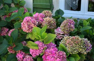 Les Chenevières - Foto 36