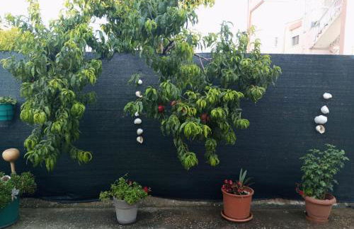 Sia Beach House - Photo 25