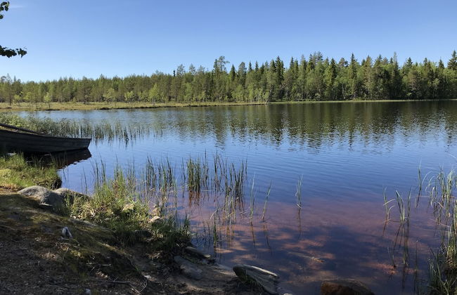 Metsä Kolo - Photo 51