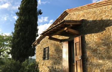 Podere Pruneto - Foto 1