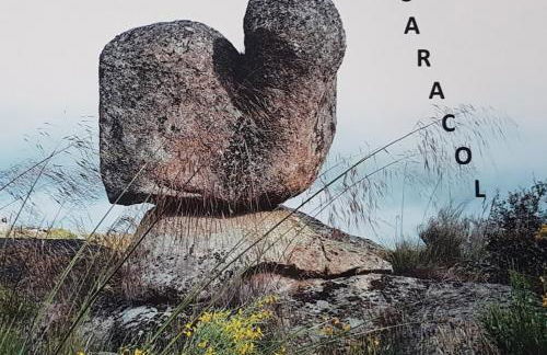 Antiguo Horno de María y Mielgo - Foto 46