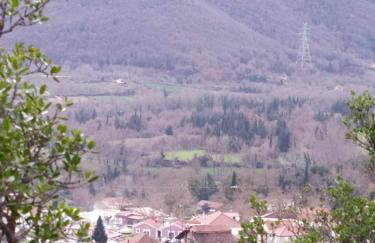 Village perfume - Photo 59