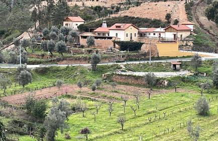 Quinta dos Milagres Casa dos Bigodes - Photo 27