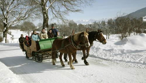 Urheim Rose - Dogfriendly - Foto 2