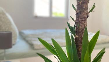 Gmiatliches Eck - Foto 5