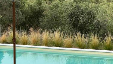 DOBRINO TRADIZIO Peloponnese Villa - Foto 3