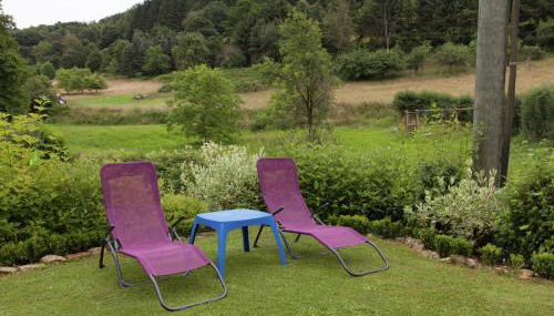 Tolle Ferienwohnung im Hunsrück in Merschbach - Foto 5, Garden