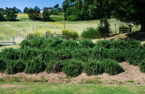 Rara Factory Design House - Foto 68