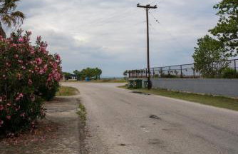 Zak's House - Foto 29