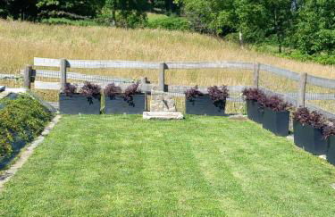 La cà del Bisun - Foto 15