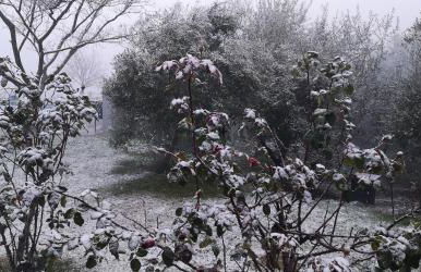 Hacienda el Mirador - Foto 6