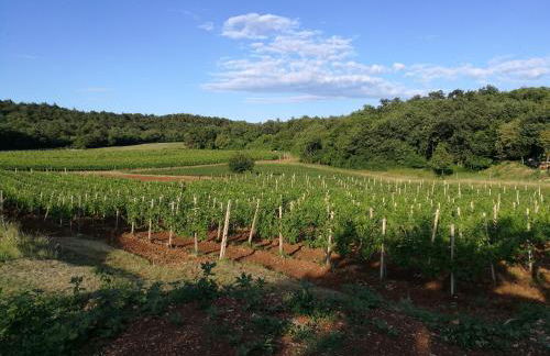 Agriturismo Ostrouska - Photo 30