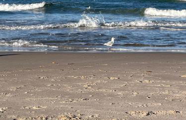 Apartament Marina - Foto 26