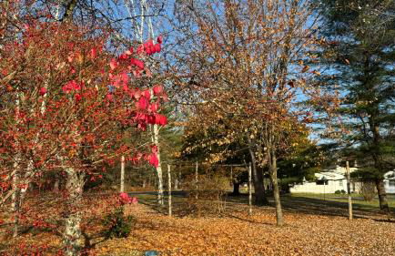 The Tannery House - Foto 24