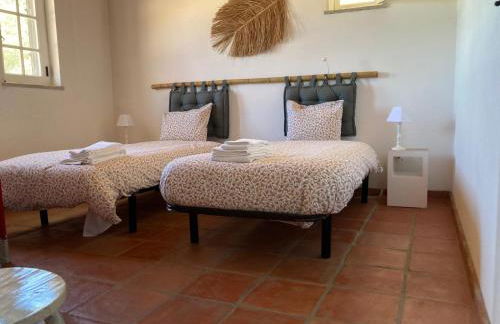 Monte do Medronhal - Foto 26