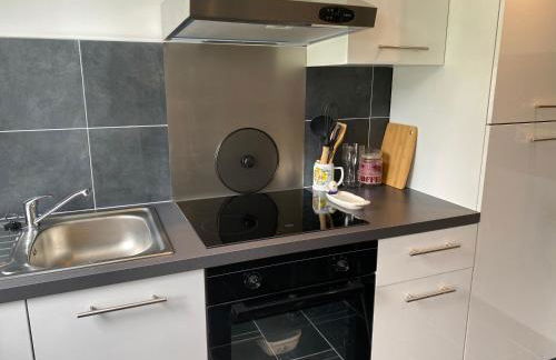 Appartement 4 personnes proche Landes et Côte Basque - Foto 16