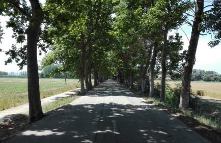 Casa Pinell Mar 111 - Foto 32