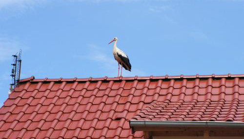 Winnica Na Leśnej Polanie - Foto 3