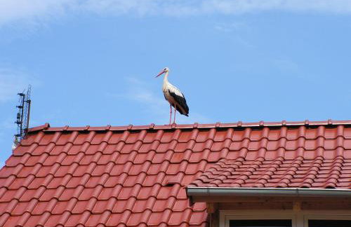 Winnica Na Leśnej Polanie - Foto 3