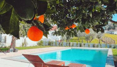 Casa Bizarra - Foto 2