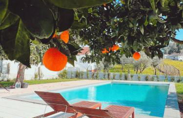 Casa Bizarra - Foto 2