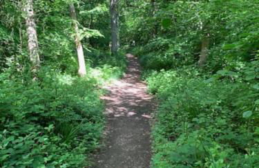 Shangri la at Beauport - Foto 28