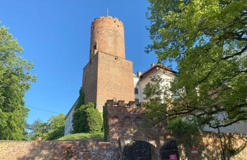 Zielone Okiennice Łagów - Foto 53