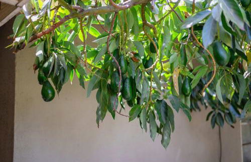 Spacious Retreat w Large Kitchen & Outdoor Patio - Photo 144