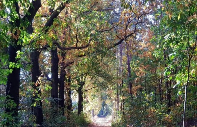 Scenic Stay Near Town & Lake - Photo 36