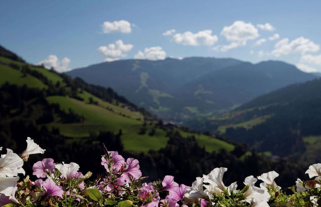 Apartment in Sankt Johann im Pongau Near Ski Area - Foto 79