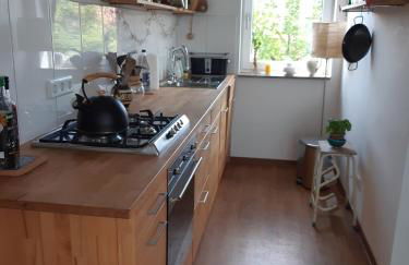 Ruhe über den Dächern Hannovers - Foto 12