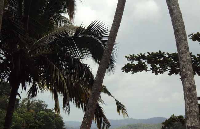 Arunalu Lake Front - Foto 29