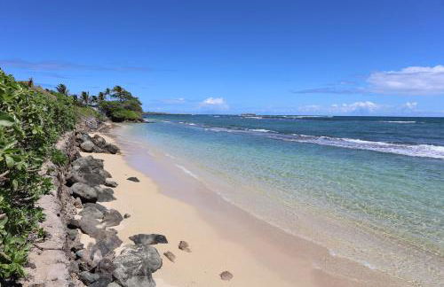 Oahu's Best Kept Secret - Photo 43