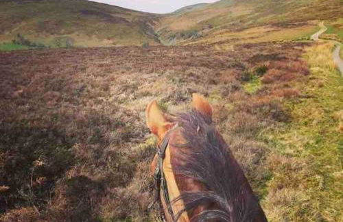 The Deckhouse, cabin with big deck nr Hay-on-Wye - Foto 25