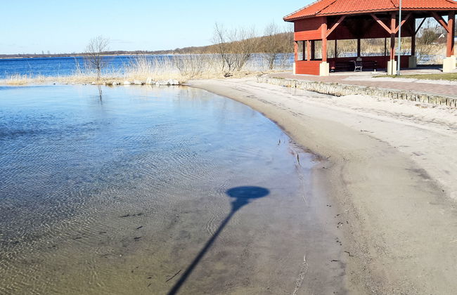 Jeżynowa - Photo 36