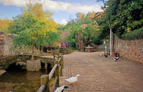 Apartamentos la buganvilla Novales - Foto 7