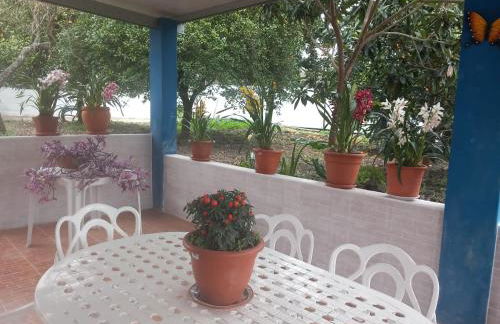 CASA DA ALDEIA - Ponte de Sor (Alentejo) - Foto 13